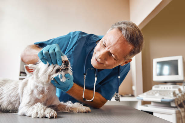 Best 24-Hour Emergency Dental Care in Briggs, OK